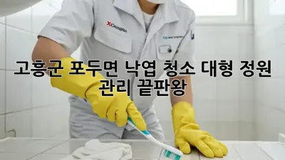 고흥군 포두면 낙엽 청소🍂: 대형 정원 관리 끝판왕!