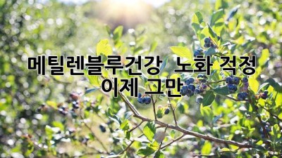 메틸렌블루건강 💙 노화 걱정 이제 그만! ✨